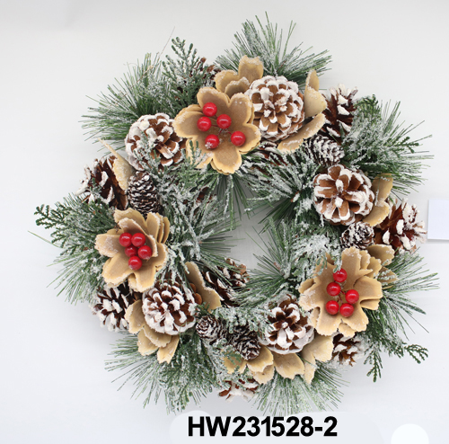 HW231528-2