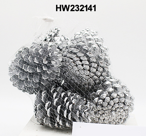 HW232141