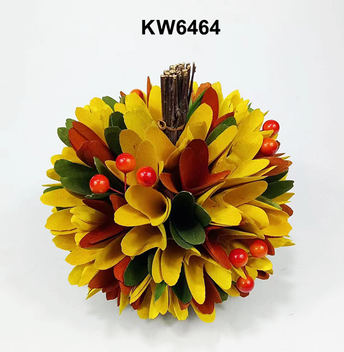 KW6464