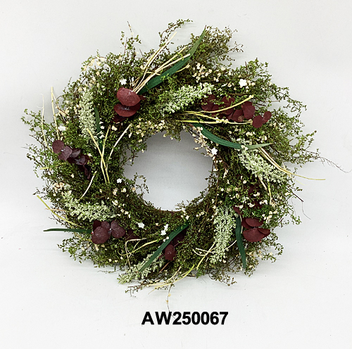 AW250067