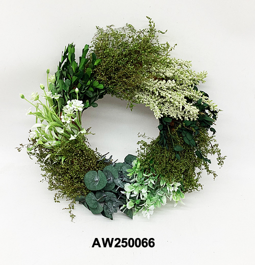 AW250066
