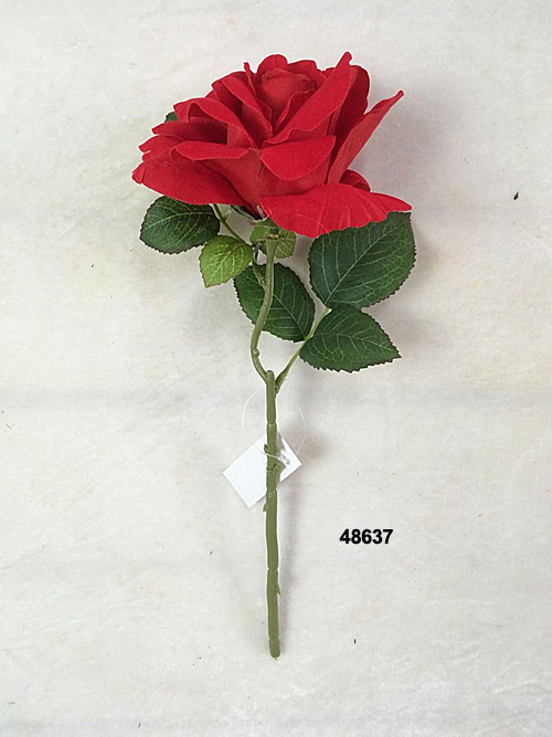 48637