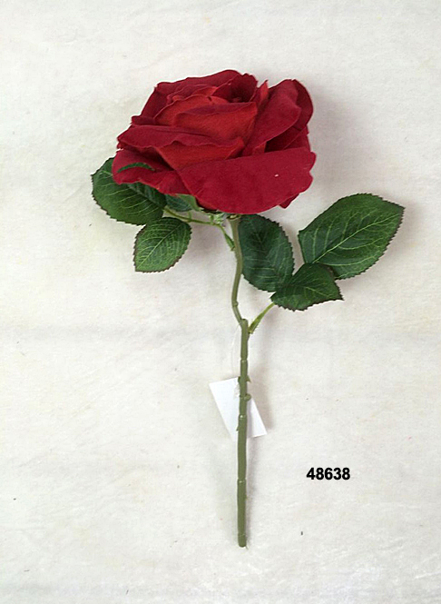 48638