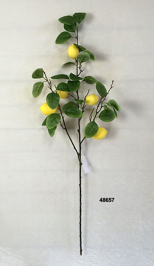 48657