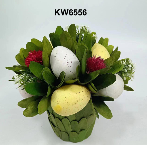 KW6556