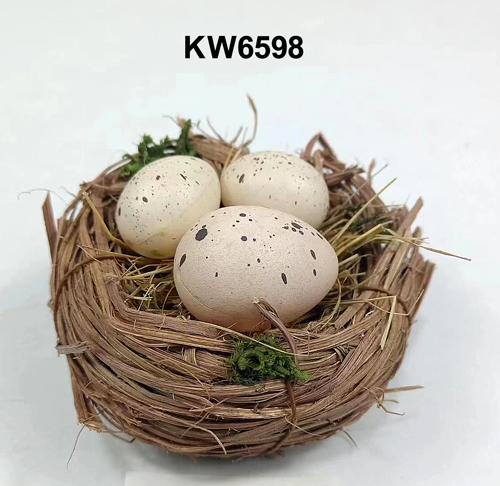 KW6598