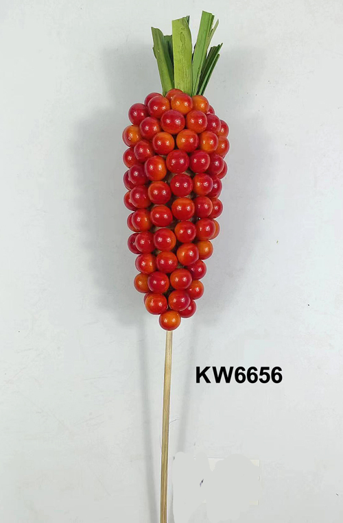 KW6656