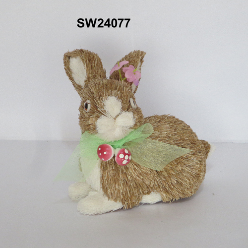 SW24077