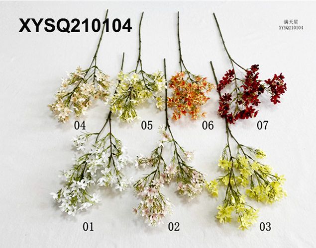 XYSQ210104