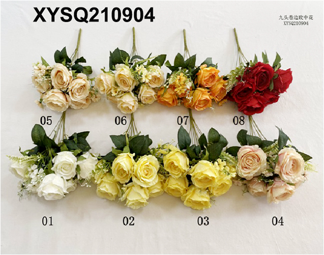XYSQ210904
